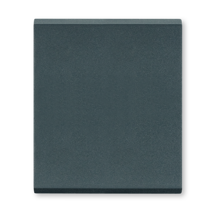 TASTER 2M ANTRACIT,  6581.A,   ALING MODE