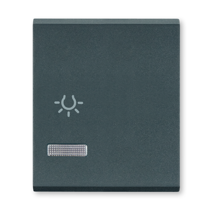 TASTER SA OZNAKOM SVIJETLA I INDIKACIJOM 2M ANTRACIT,  65821.A,   ALING MODE