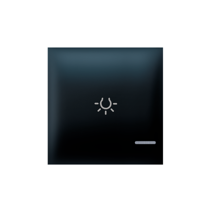 TASTER EXP 2M SA OZNAKOM SVIJETLA I INDIKACIJOM, CRNI SOFT, 73402.E1,   ALING